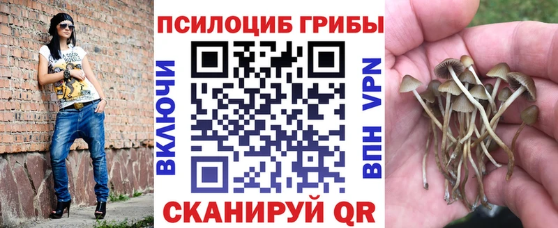 Псилоцибиновые грибы мицелий Южно-Сахалинск