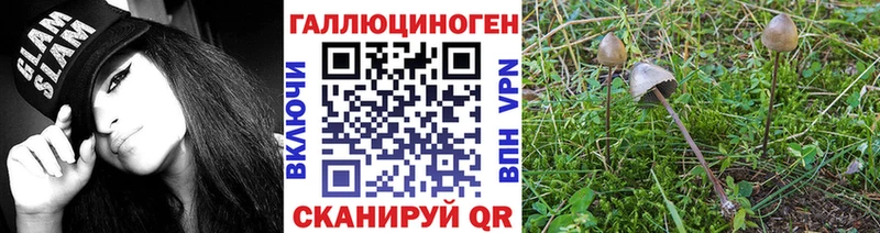 Галлюциногенные грибы прущие грибы  мега ссылка  Южно-Сахалинск  купить закладку 