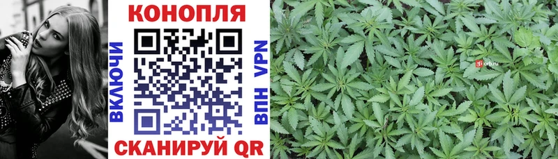 сколько стоит  Южно-Сахалинск  МАРИХУАНА SATIVA & INDICA 